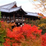 Những điểm ngắm lá đỏ đẹp nhất ở Kyoto