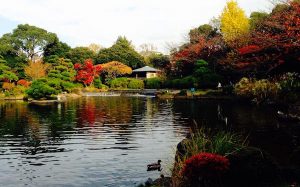 Top 7 công viên ở Tokyo dành cho các gia đình