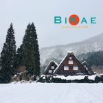 Ghé thăm làng cổ Shirakawa-go mùa tuyết rơi