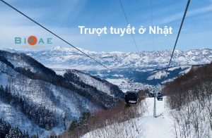 Trải nghiệm trượt tuyết ở Nhật cho người mới bắt đầu